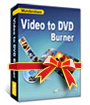 Video to DVD Burner