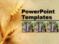 Free PowerPoint Templates - Free Season  PowerPoint Templates 